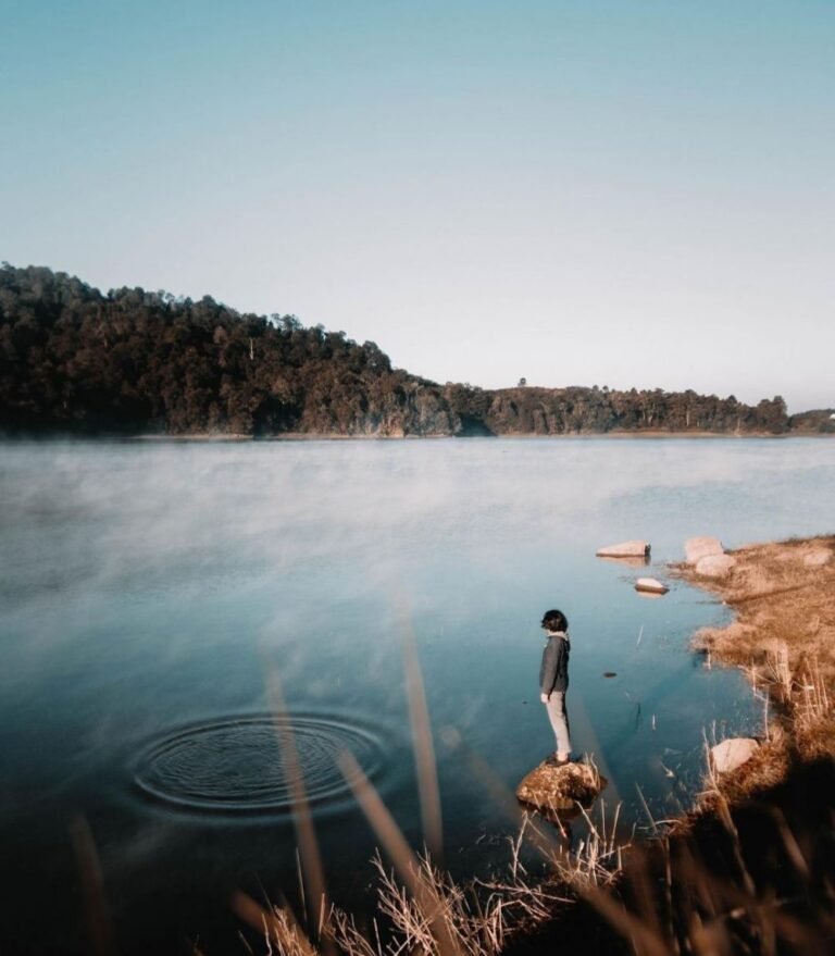 Wisata Situ Patenggang Bandung4 768x879