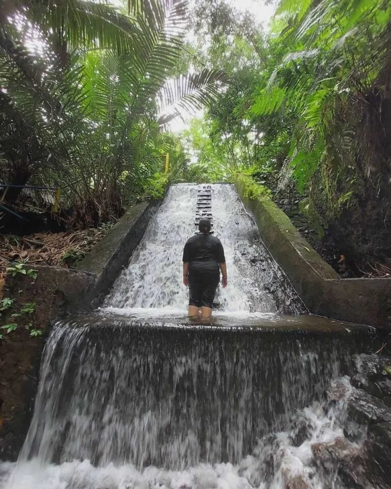 fromandroid 18e363fd6b8db848392d0a6f3de8c545 768x960