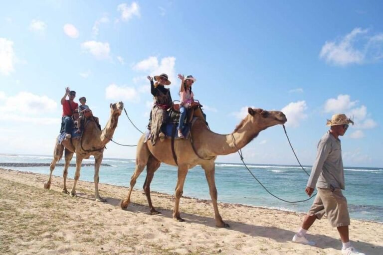 fromandroid 538958972f423f0e15da8759b7904302 768x512