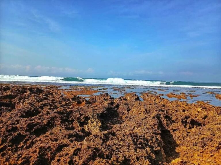 fromandroid 55f06d2e4c7dfa8887760d8ee23bad73 768x576