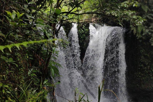 Desa Wisata Tebat Lereh Meringang