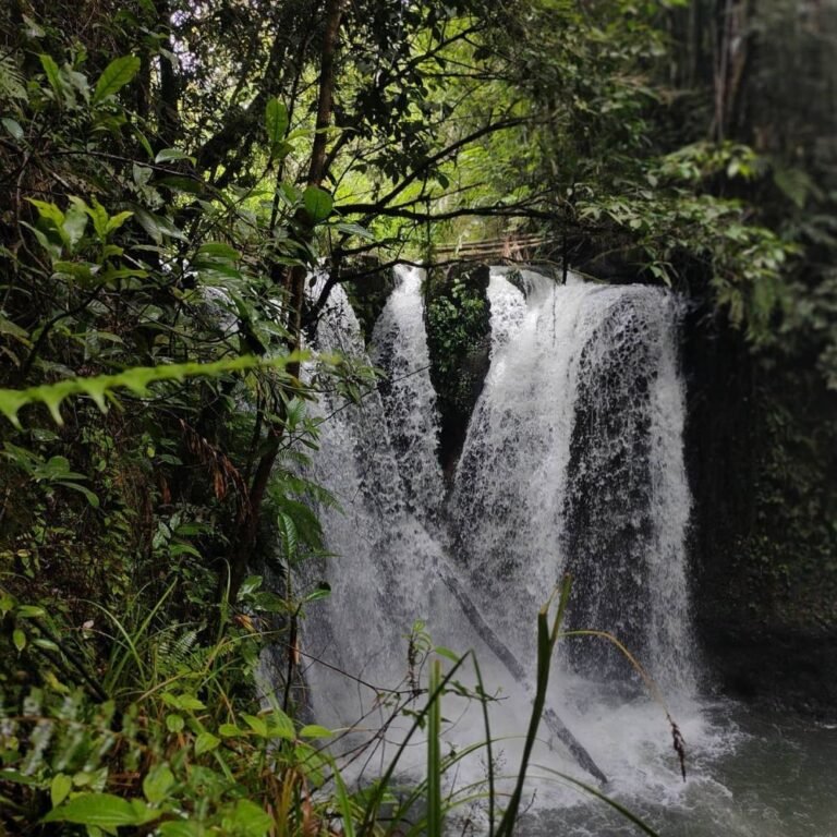 Desa Wisata Tebat Lereh Meringang3 768x768