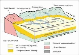 Fasies Lingkungan Pengendapan Batubara