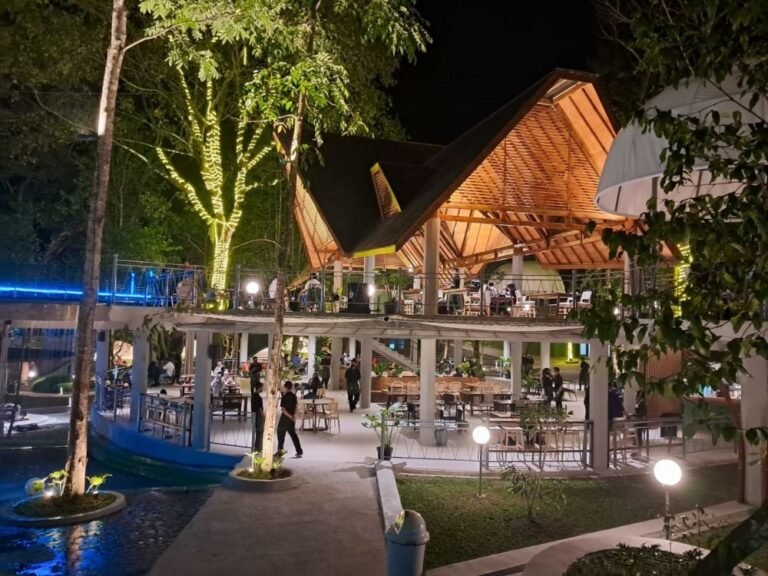 3279931 1000xauto heha forest 768x576