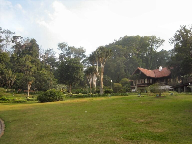 1280px Botanical garden Cibodas Indonesia 3 768x576