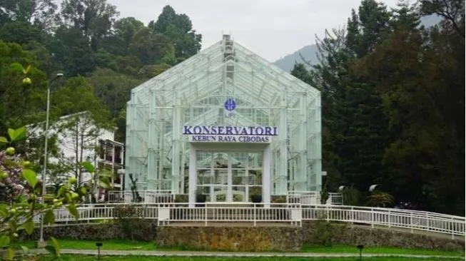 74222 kebun raya cibodas taveloka
