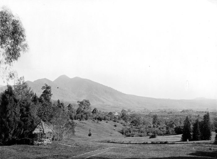 COLLECTIE TROPENMUSEUM De botanische tuin van s Lands Plantentuin te Tjibodas West Java TMnr 10010818