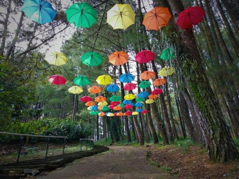 snapinstaapp 47692495 339783666799973 2969606649642874254 n 1080 17e7d07b79153932302eaf9074f9f09f 768x576