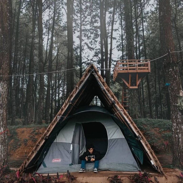 snapinstaapp 81765145 837631009983091 6698633787003793337 n 1080 1f88b7a1ed4b04497c5d18ba93e5148e 768x768