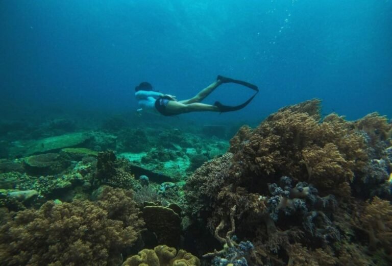 Lubang Buaya Morella4 768x521