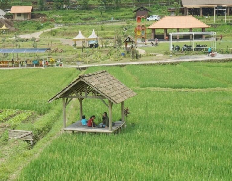 Sawah Sumber Gempong Mojokerto2 768x598