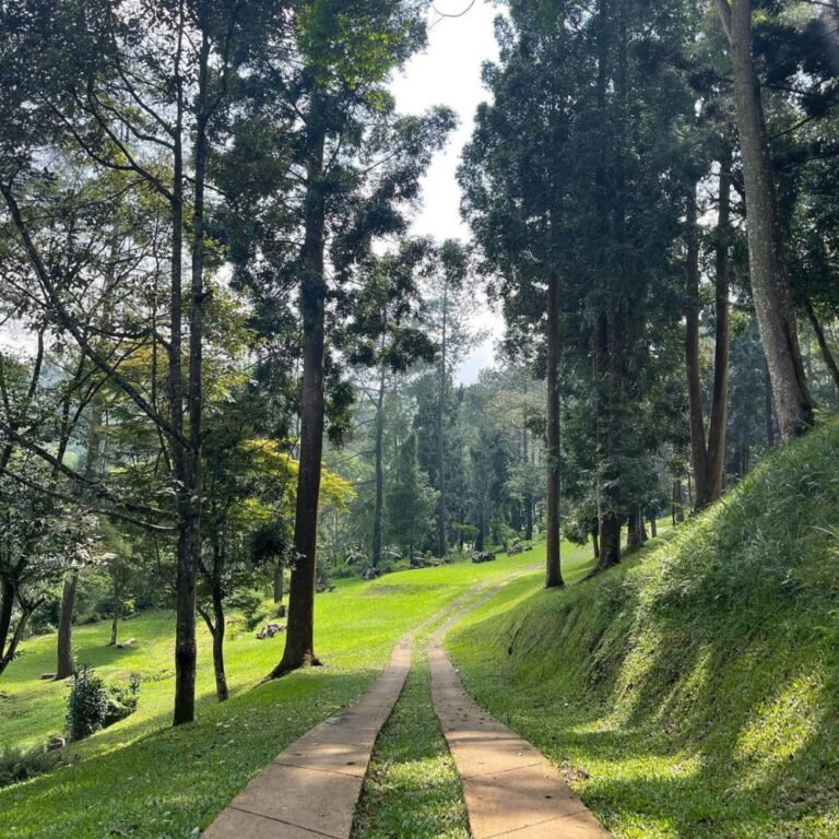 Selabintana Sukabumi3 768x768