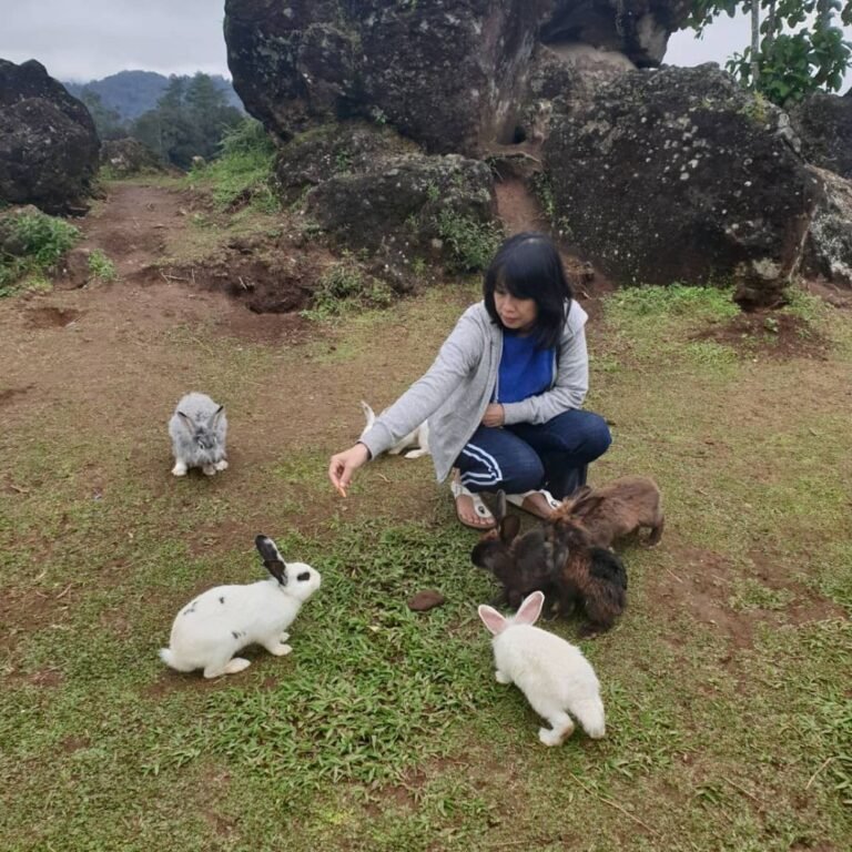 Taman Kelinci Ciwidey6 768x768