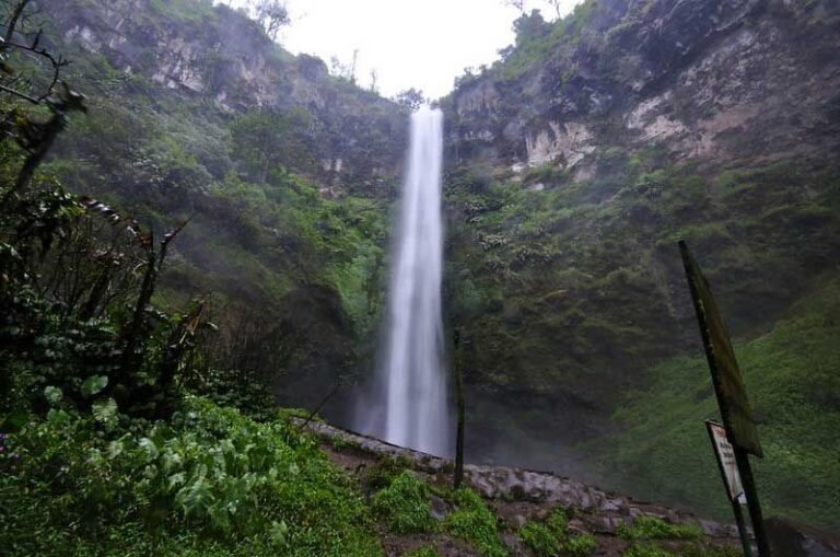 Wisata Coban Rondo Malang2 768x509
