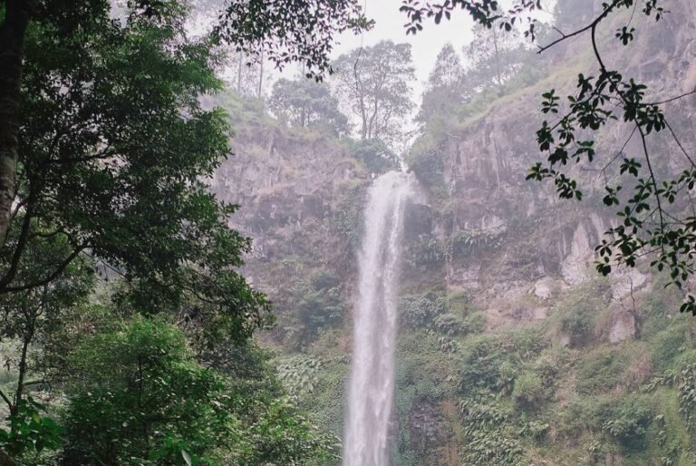 Wisata Coban Rondo Malang7 768x514