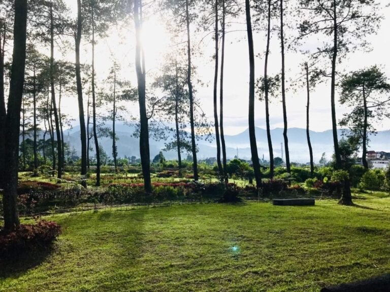 Wisata Kebon Pines Lembang2 768x576