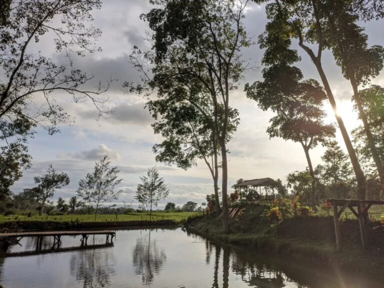 Wisata Sumber Bon C2 768x576