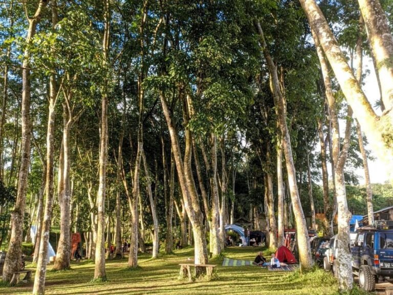 Wisata Sumber Bon C4 768x576