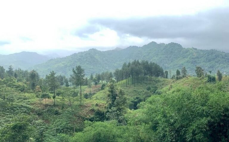 bukit paniisan sentul destinasi ciamik favorit pecinta trekking SFv8IO04UJ 768x478