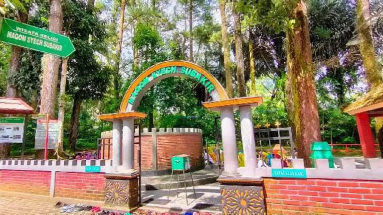 015921100 1688038868 WhatsApp Image 2023 06 29 at 10.42.38 768x432