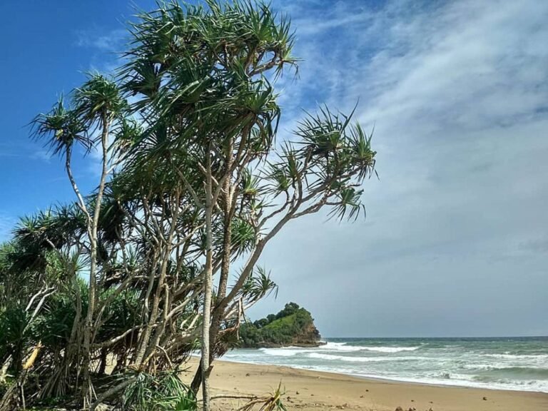 Pantai Wonogoro Malang2 768x576