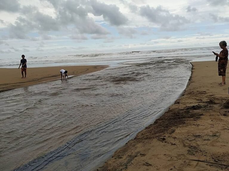 Pantai Wonogoro Malang3 768x576