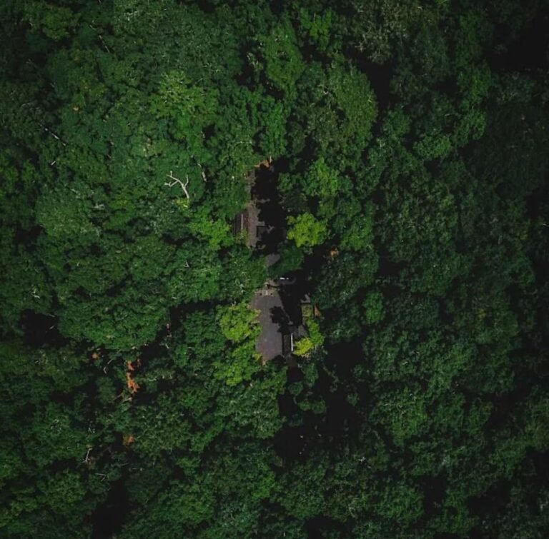 0851030281814 768x755