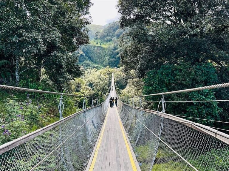 Rengganis Suspension Bridge2 768x576