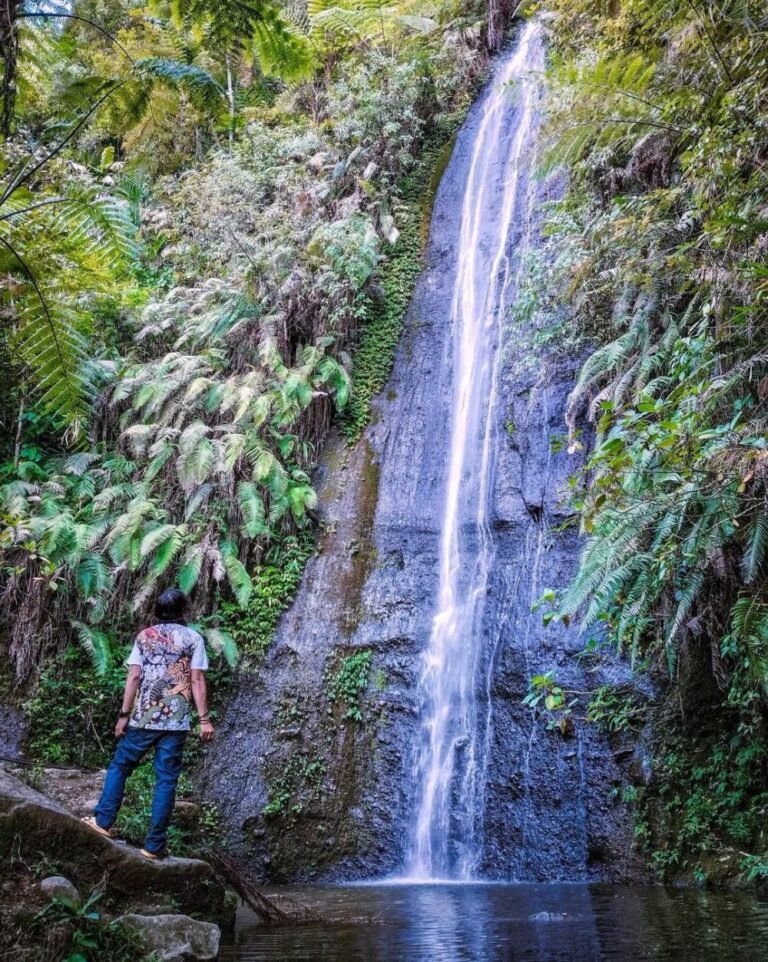 Air Terjun Seloresi Wonogiri3 768x962