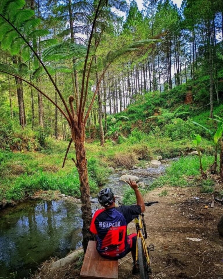 Air Terjun Seloresi Wonogiri4 768x960