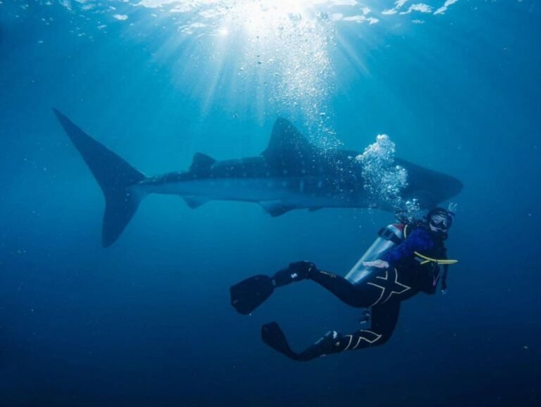 Botubarani Gorontalo3 768x578