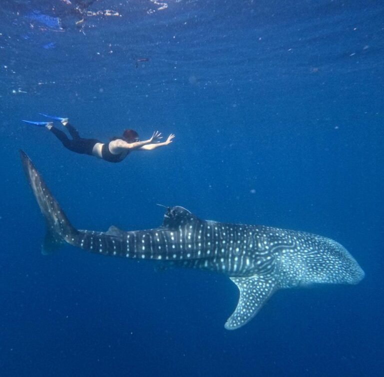 Botubarani Gorontalo4 768x755