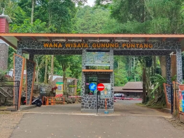 Bumi Perkemahan Gunung Puntang2 768x576