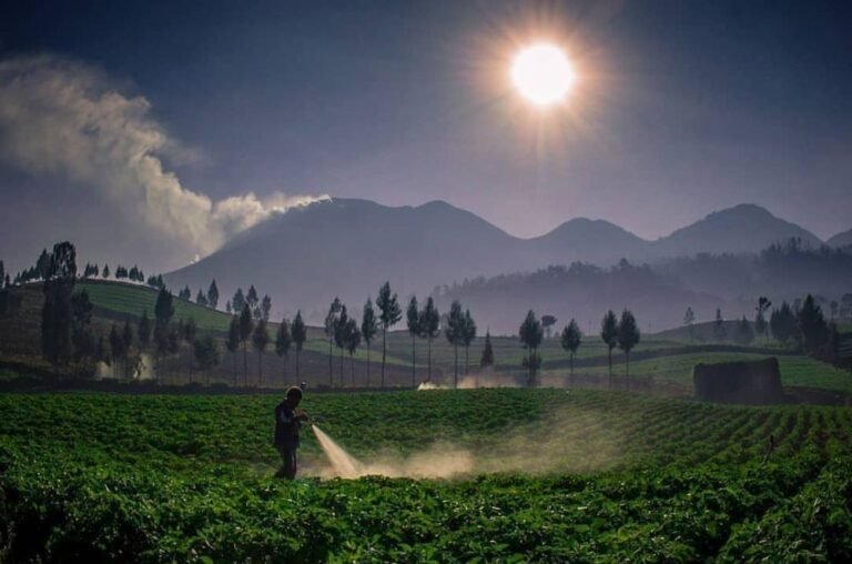 Wisata Alam Brakseng Batu 768x508