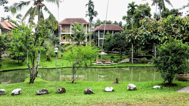 20220708 img 20220705 wa0012 768x432