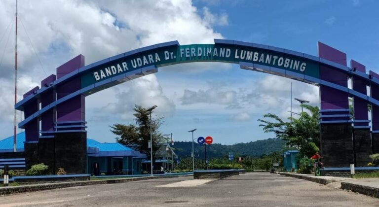 Bandar Udara Dr. Ferdinand Lumbantobing Pinangsori6 768x420
