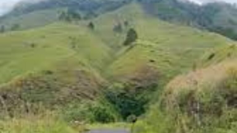 Bukit Cinta Silalahi One Toba 2 768x432