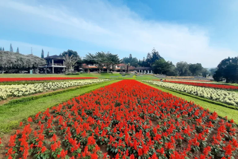 Taman Bunga Nusantara2 768x512