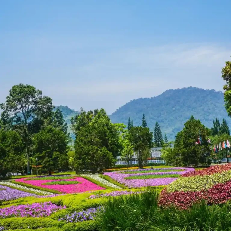 Taman Bunga Nusantara3 768x768
