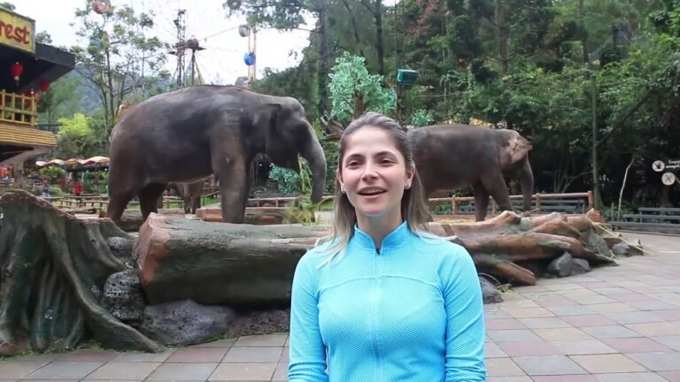 Taman Safari Bogor3 768x432