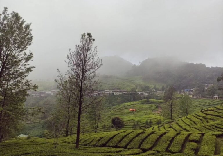 Agrowisata Gunung Mas2 768x538