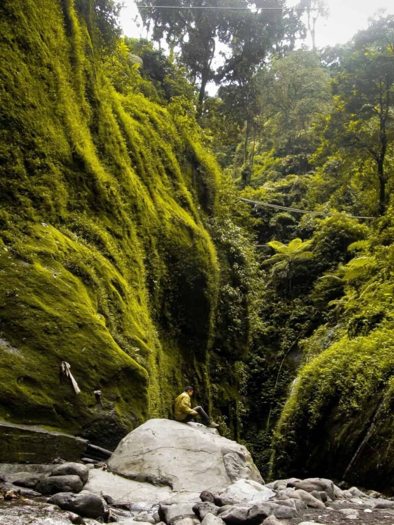 Air Terjun Umbulan6 768x1024