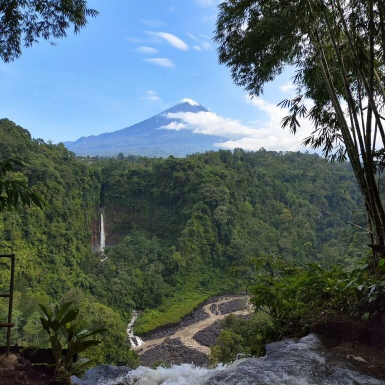 Kapas Biru Lumajang2 768x768