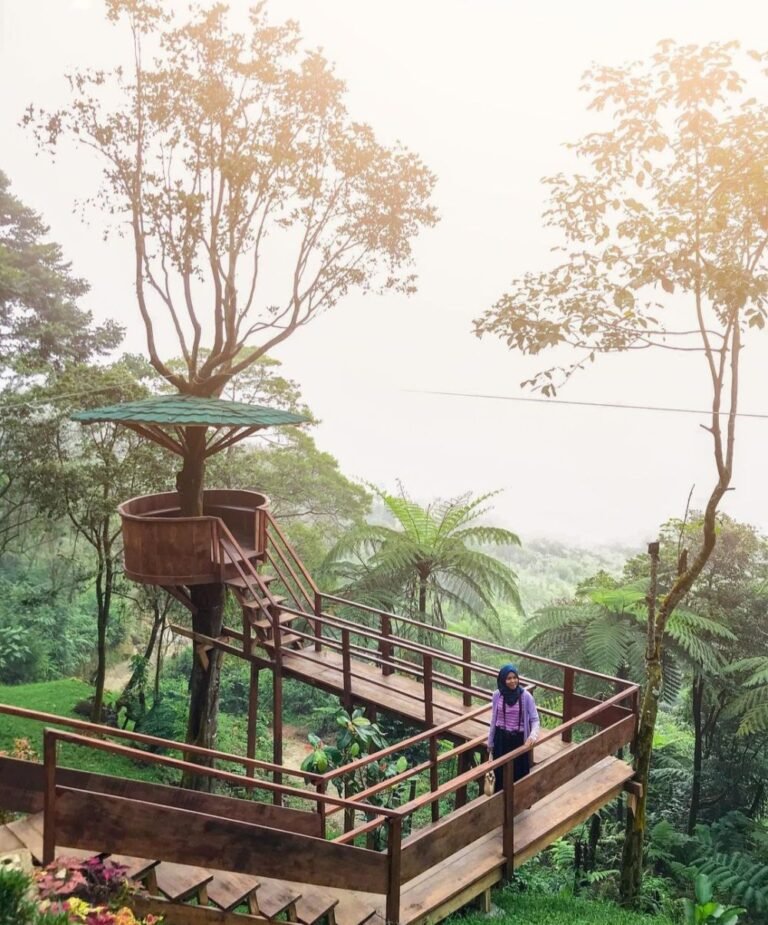 Wisata Bukit Halimun2 768x925