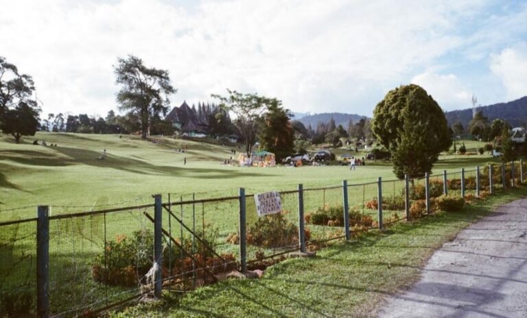 Wisata Bukit Kubu4 768x464