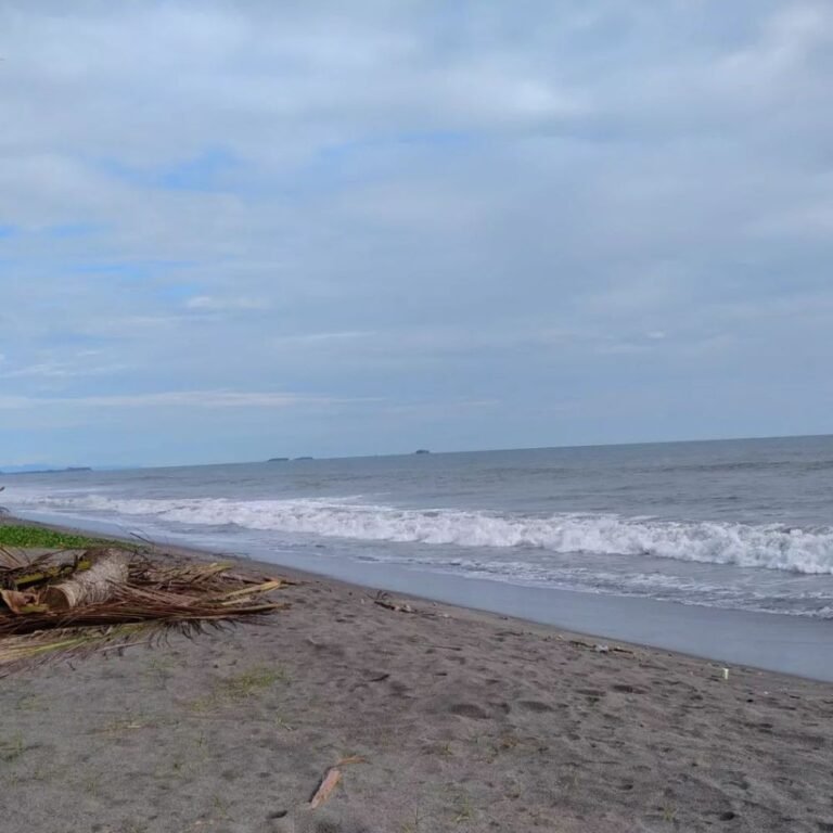 pantai arta1 768x768