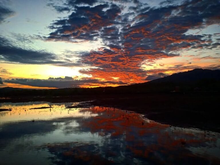 danau laet sanggau kalbar3 768x576