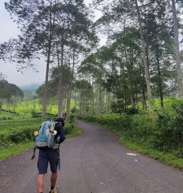 gunung kembang wonosobo3 768x808