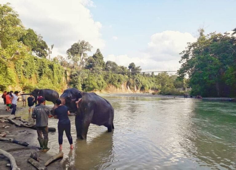 tangkahan cru2 768x554