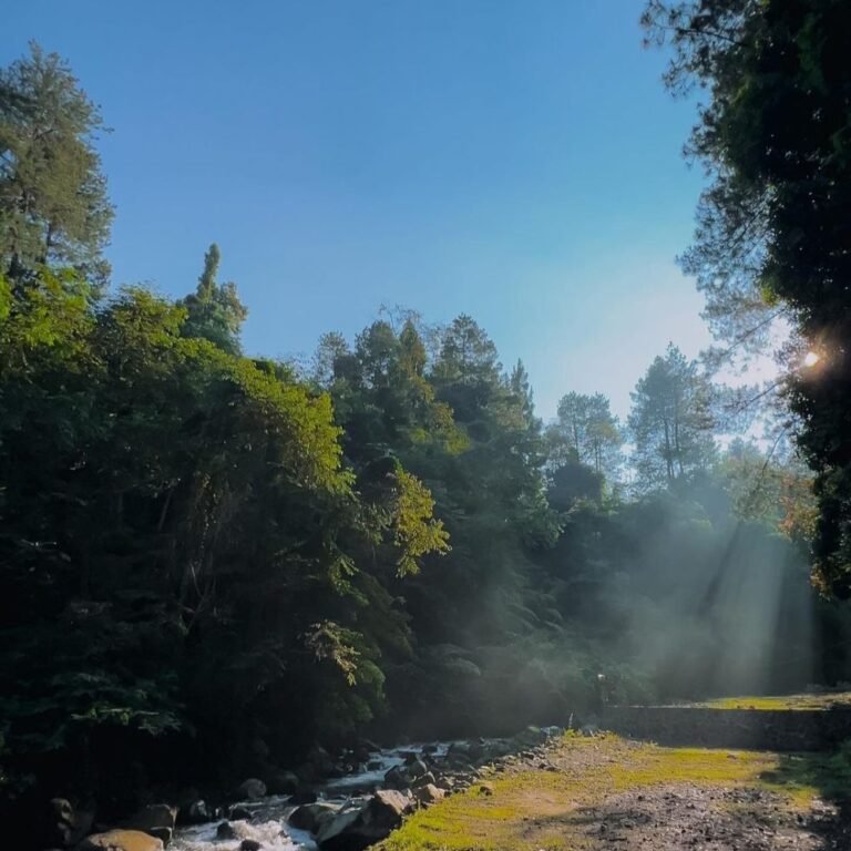 wonderful citamiang bogor2 768x768